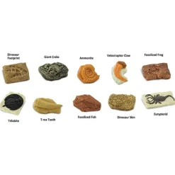 Ancient Fossils Minis 10 Pieces