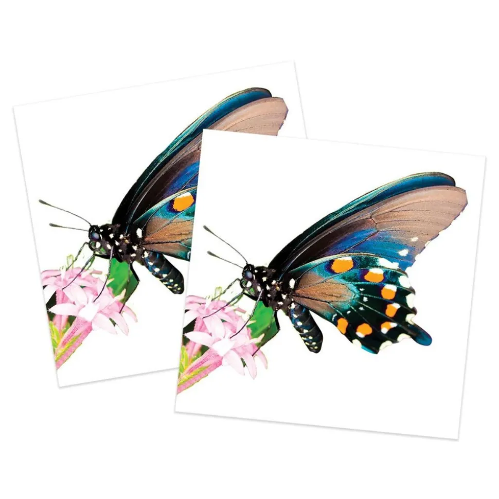 Bug-tastic Memory Match Game