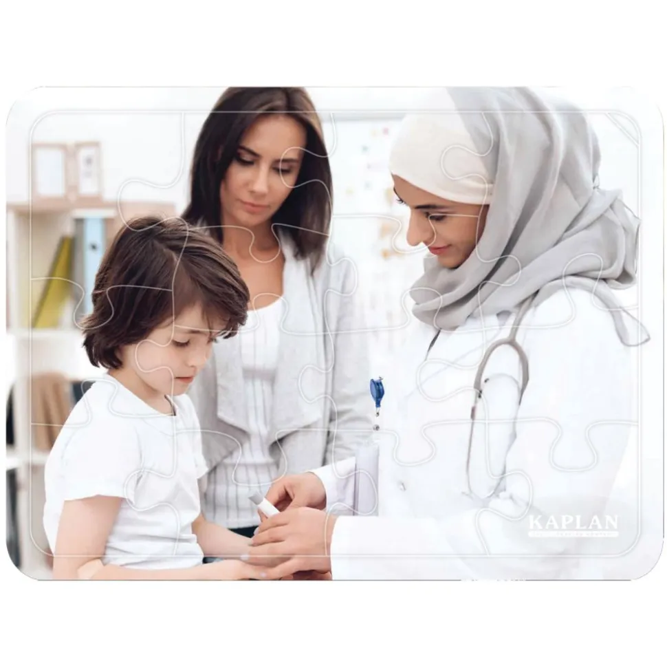 Career Puzzles Set of 6