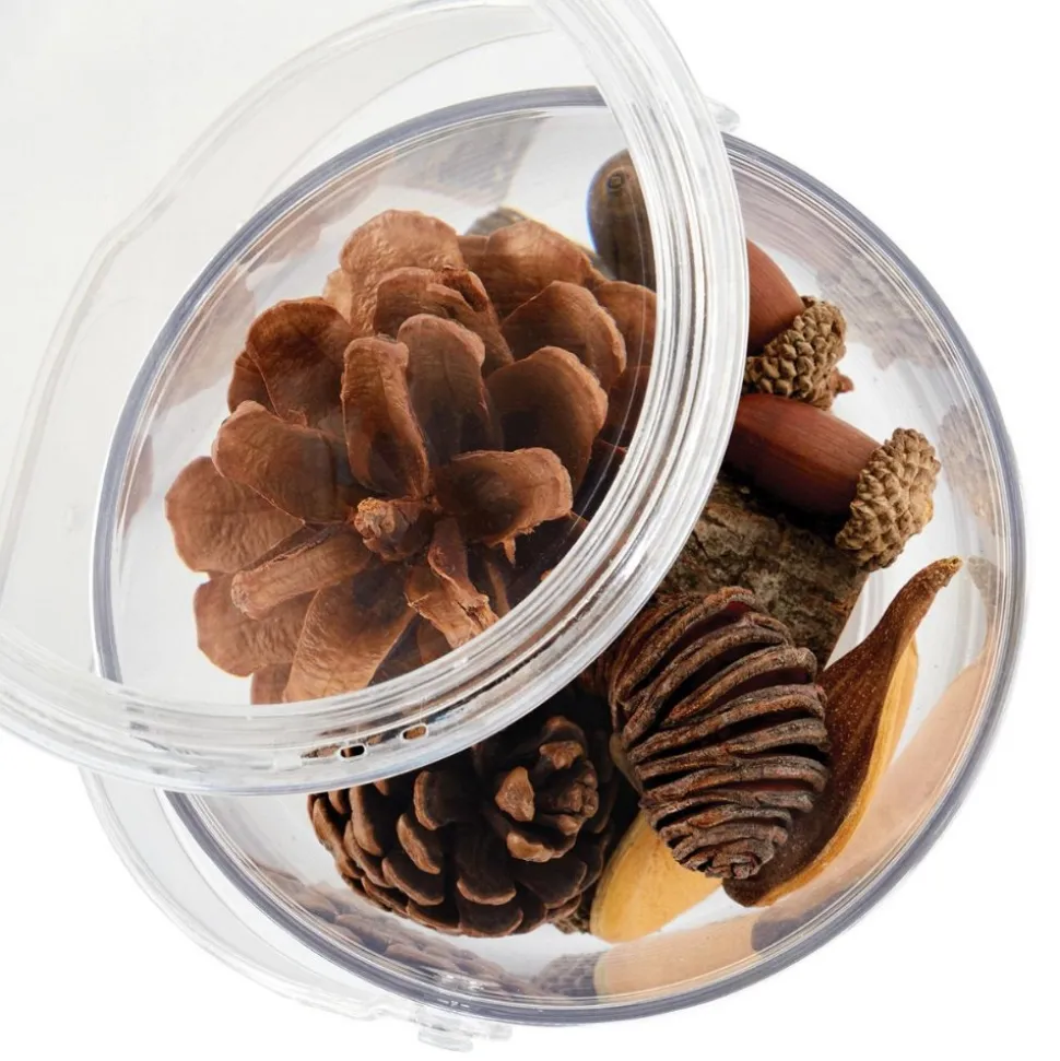 Carry and Discover Magnification Containers Set of 2