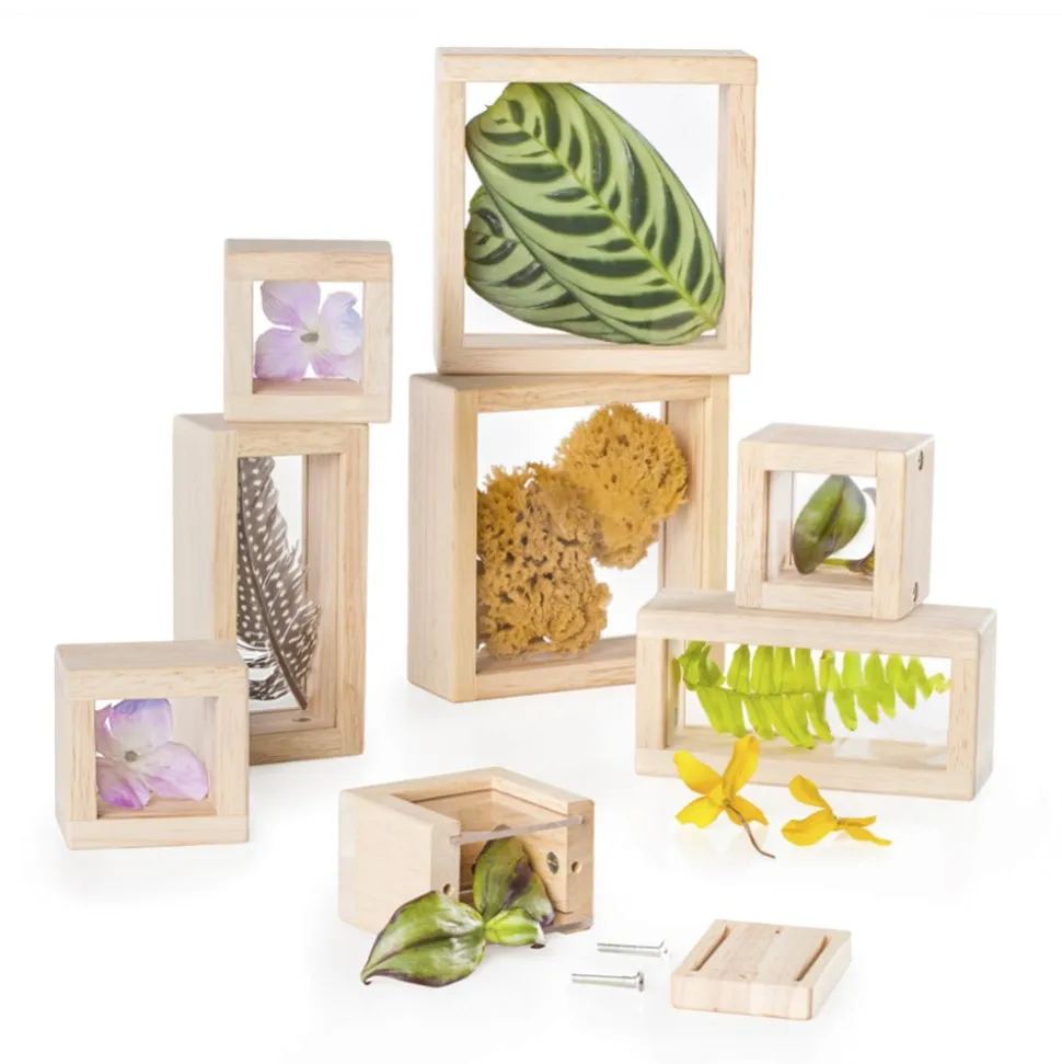 Clear Treasure Blocks Set of 8