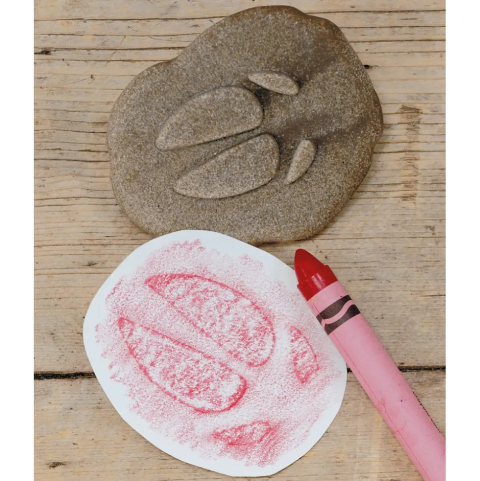 Farmyard Footprints™ Stones Set of 8
