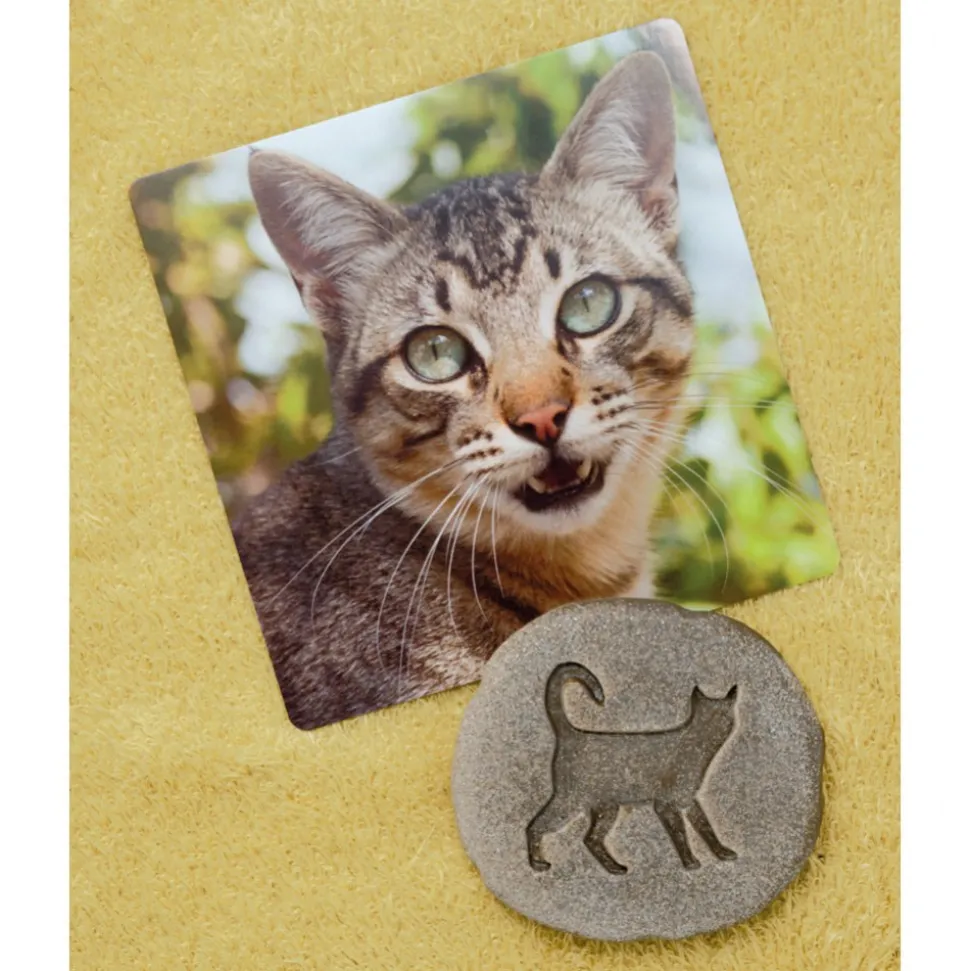 Farmyard Footprints™ Stones Set of 8