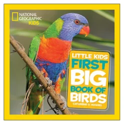 First Book of Birds Hardcover