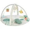 Garden Oasis Activity Gym