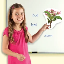 Giant Magnetic Plant Life Cycle