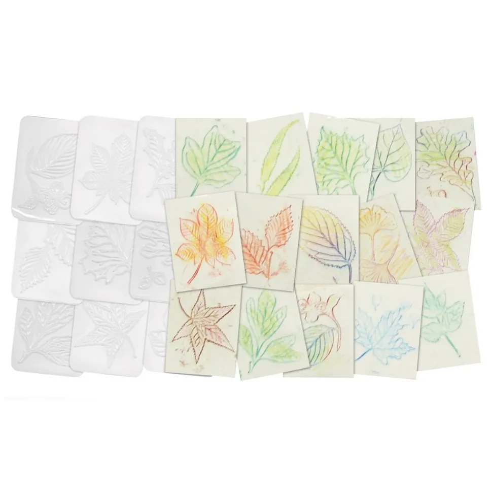Leaf Rubbing Plates Set of 16