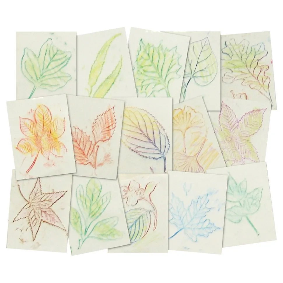 Leaf Rubbing Plates Set of 16
