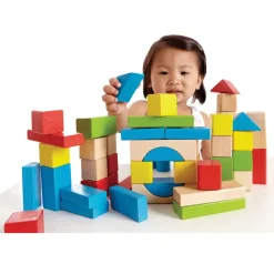 Natural & Color Maple Blocks 50 Pieces
