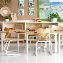 Sense of Place Classroom Chair