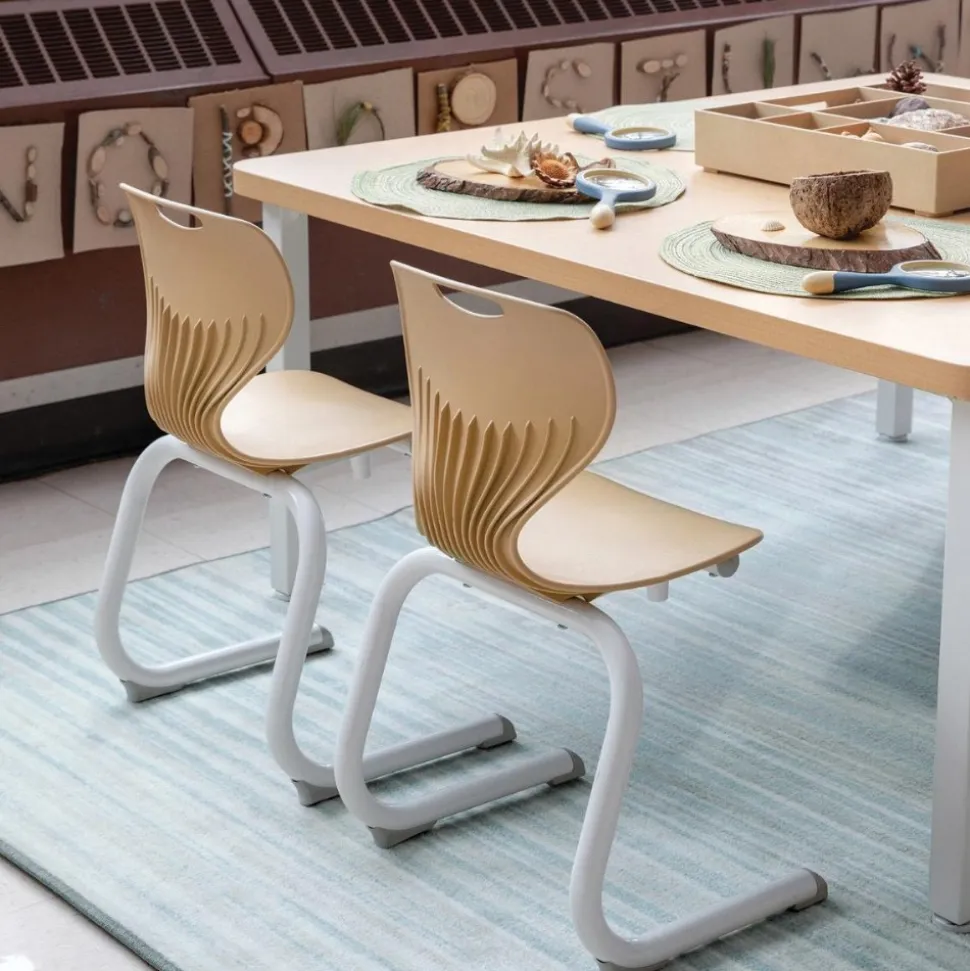 Sense of Place Classroom Chair