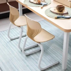Sense of Place Classroom Chair