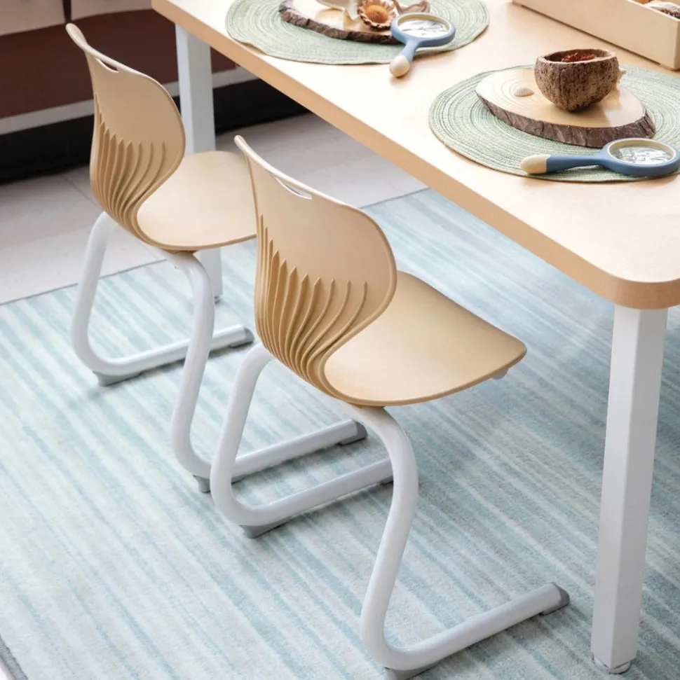 Sense of Place Classroom Chair