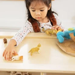 Sense of Place for Wee Ones Exploration Storage