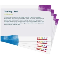 The Way I Feel Learning Kit Bilingual