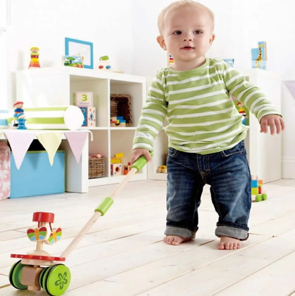 Whimsical Push Toys