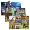 Wildlife Floor Puzzles Set of 3