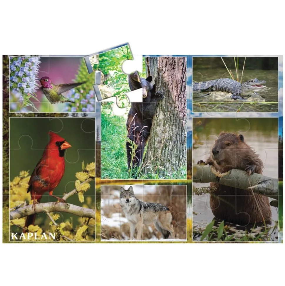 Wildlife Floor Puzzles Set of 3