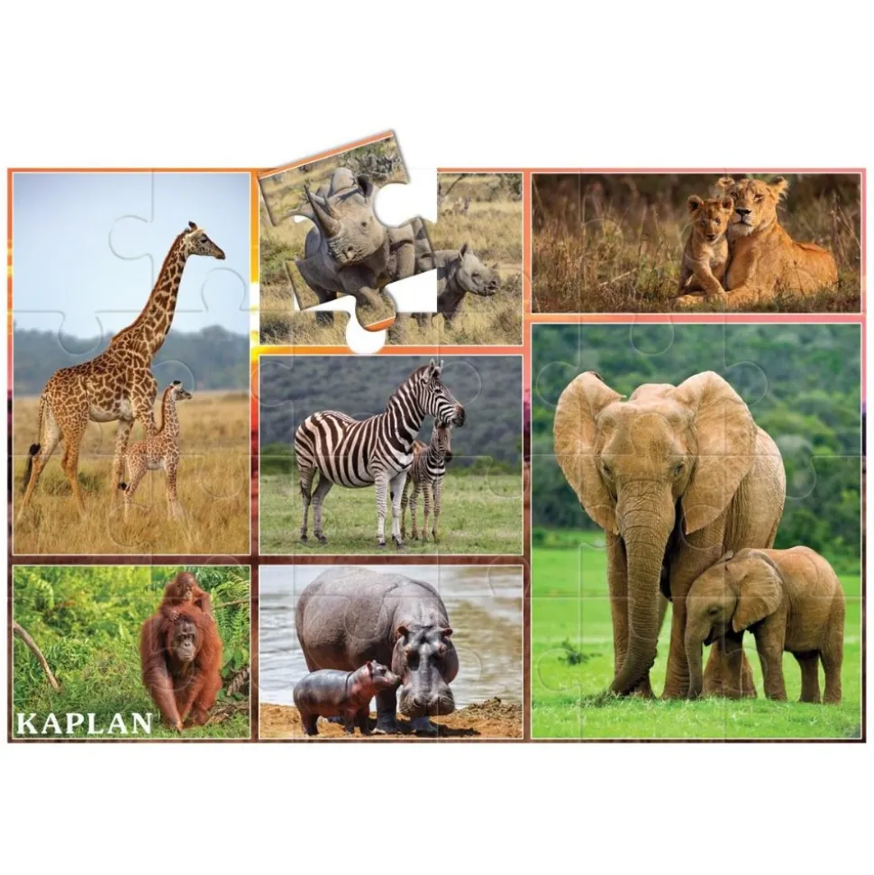 Wildlife Floor Puzzles Set of 3