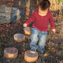 Wood Stepping Slices Set of 5